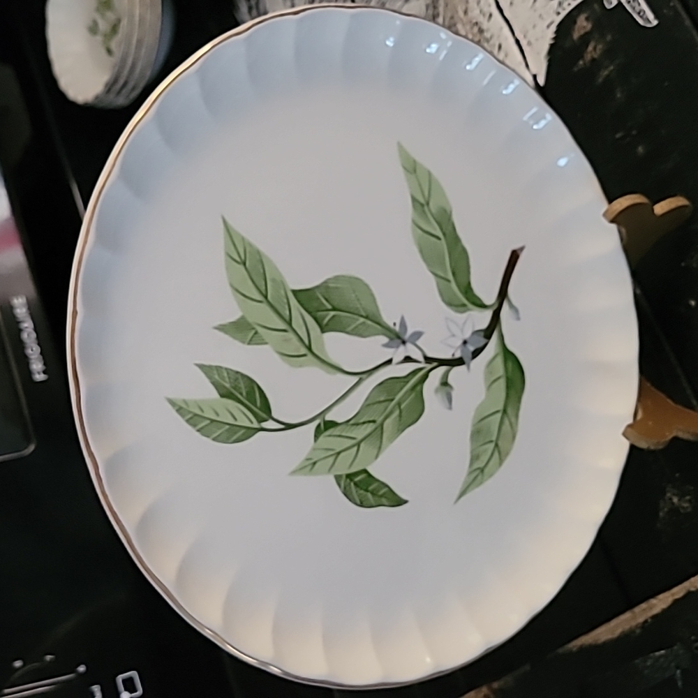 W. S. George Bolero Dinner plates